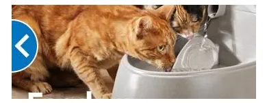 Business 5 image PETSMART Shopping in Brampton ON