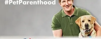 Business 6 image PETSMART Shopping in Richmond BC