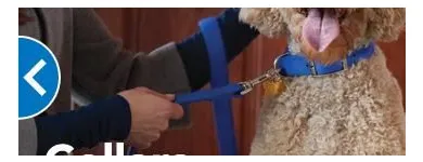 Business 7 image PETSMART Shopping in Richmond BC