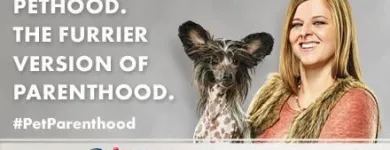 Business 8 image PETSMART Shopping in Richmond BC