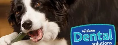 Business 8 image PETSMART Shopping in Mississauga ON