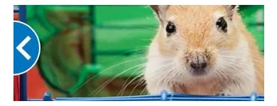 Business 2 image PETSMART Shopping in Brampton ON