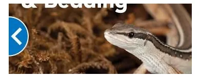 Entreprises 5 image PETSMART Shopping dans East York ON