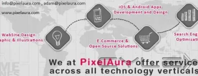 Business 6 image PIXELAURA IT SOLUTIONS PVT LTD Web Design & Development in Brampton ON