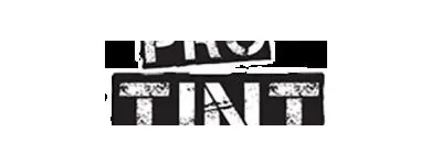 Business 4 image PRO TINT Graphic Designers in Windsor ON