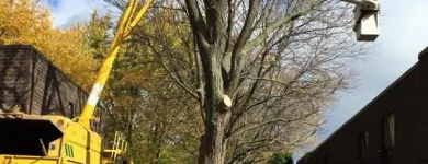 Business 5 image PROFESSIONAL TREE SERVICES Trees & Shrubs in Hamilton ON
