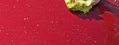 Entreprises 1 image REXDALE AUTO DETAILING INC Car Wash & Detailing dans Etobicoke ON