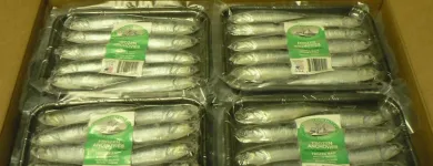 Business 5 image ROB'S BAITS Sports & Recreation in Richmond BC