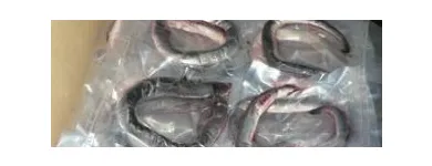 Business 6 image ROB'S BAITS Sports & Recreation in Richmond BC