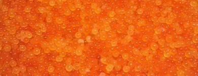 Business 13 image ROB'S BAITS Sports & Recreation in Richmond BC