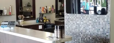 Business 4 image SALON TALU Hair Salons in Windsor ON