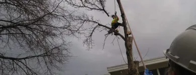 Business 4 image SECOND NATURE TREE CARE Tree Work & Forestry Services in Lethbridge AB