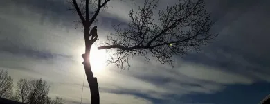 Business 5 image SECOND NATURE TREE CARE Tree Work & Forestry Services in Lethbridge AB