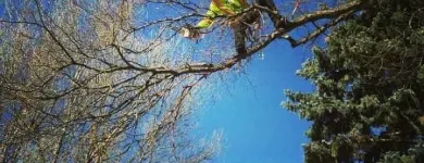 Business 6 image SECOND NATURE TREE CARE Tree Work & Forestry Services in Lethbridge AB