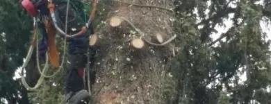 Business 2 image SECOND NATURE TREE CARE Tree Work & Forestry Services in Lethbridge AB