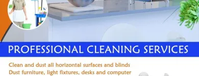 Business 8 image SHINE TECH GROUP LTD. Window Cleaners in Brampton ON