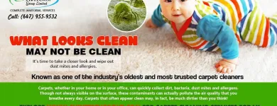 Business 1 image SHINE TECH GROUP LTD. Window Cleaners in Brampton ON