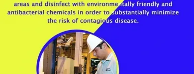 Business 15 image SHINE TECH GROUP LTD. Window Cleaners in Brampton ON