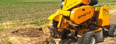 Business 1 image STUMP TECH Tree Work & Forestry Services in Bowmanville ON