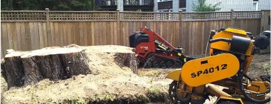 Business 3 image STUMP TECH Tree Work & Forestry Services in Bowmanville ON