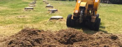 Business 4 image STUMP TECH Tree Work & Forestry Services in Bowmanville ON