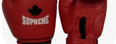 Entreprises 7 image SUPREME SPORTS INC Sports & Recreation dans Mississauga ON