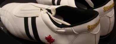 Entreprises 2 image SUPREME SPORTS INC Sports & Recreation dans Mississauga ON