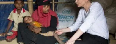 Entreprises 7 image UNHCR CANADA Refugee Camps & Services dans Toronto ON