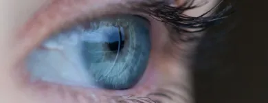 Entreprises 5 image UNITED OPTICAL DISPENSARY LTD Ophthalmologists, Optometrists & Opticians dans Burnaby BC