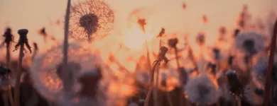 Business 4 image WEST END WELLNESS Massage Therapists in Vancouver BC