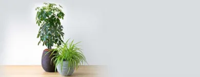 Business 5 image WEST END WELLNESS Massage Therapists in Vancouver BC