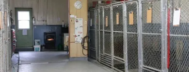 Business 11 image WINCHESTER KENNELS Business & Professional Services in Winchester ON