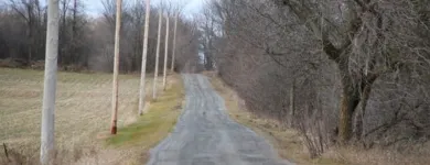 Business 32 image WINCHESTER KENNELS Business & Professional Services in Winchester ON