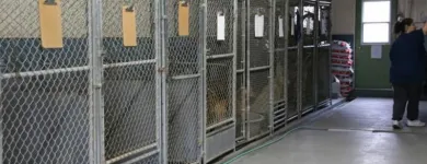 Business 9 image WINCHESTER KENNELS Business & Professional Services in Winchester ON