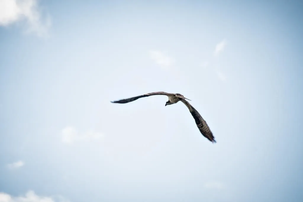 Entreprises 10 image LAURA LEIGH MULLINS - REALTOR ®