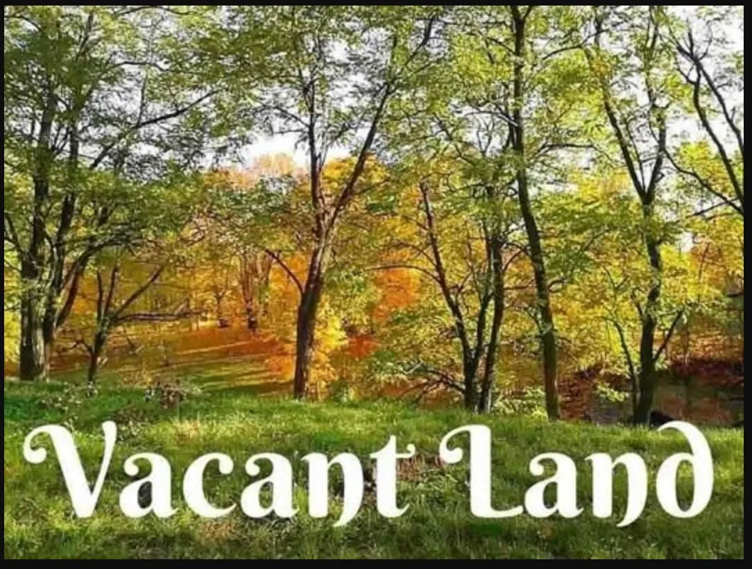 Entreprises 7 image LAURA LEIGH MULLINS - REALTOR ®