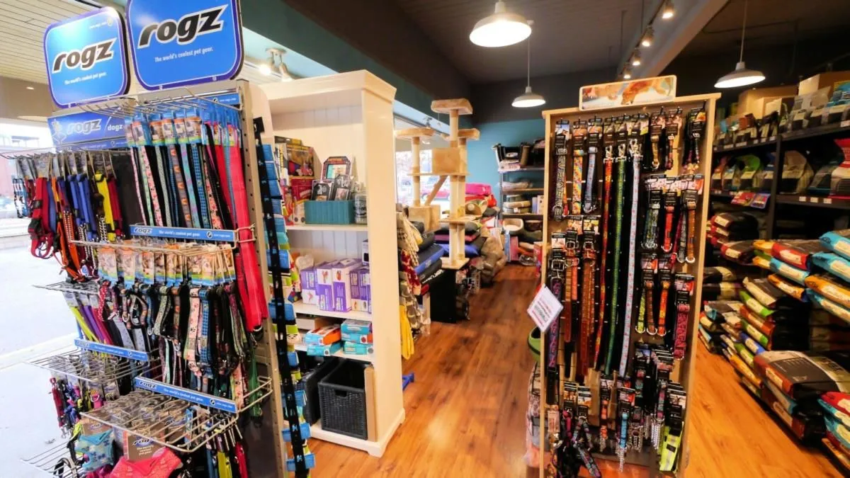 Entreprises 2 image SOCIAL PETS