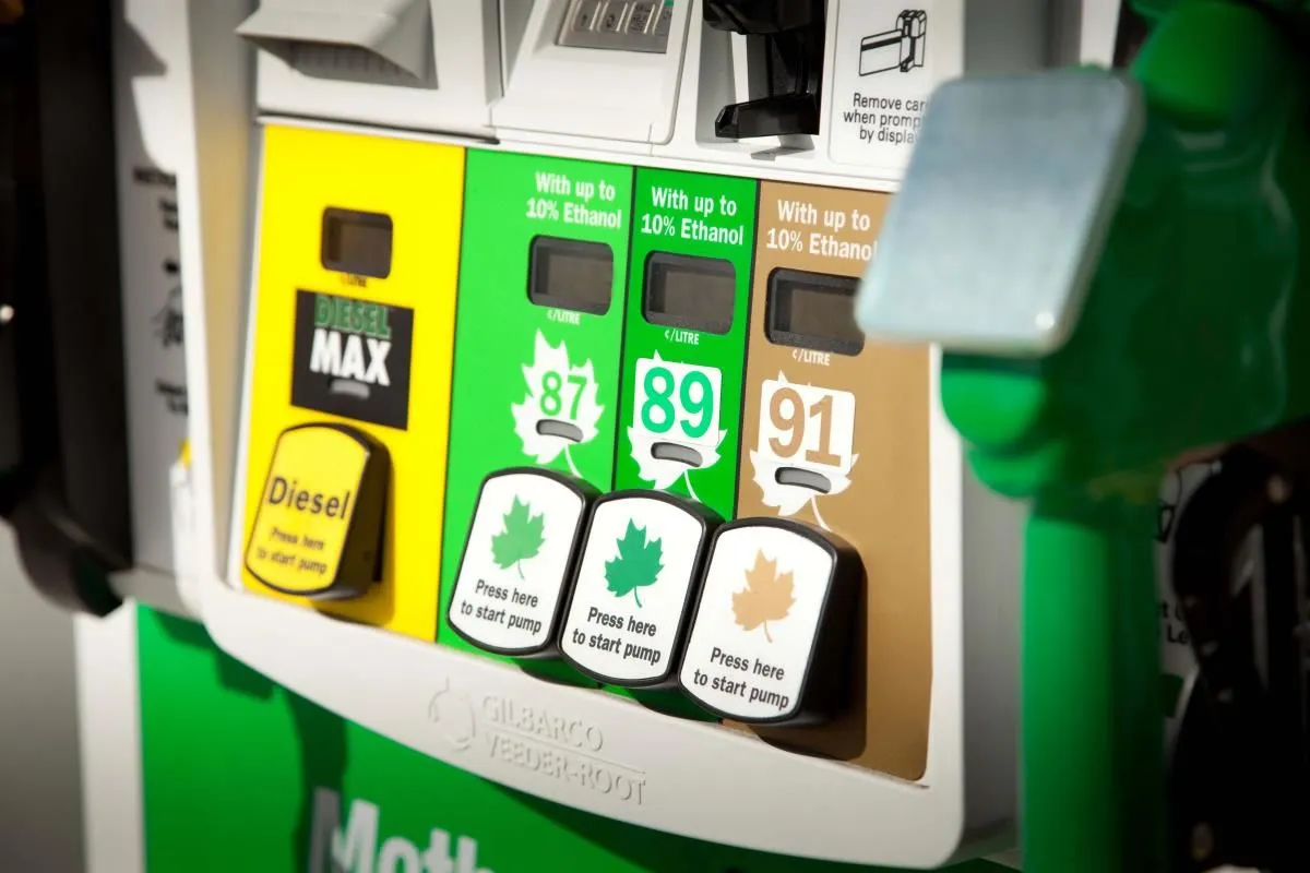 Business 1 image HUSKY