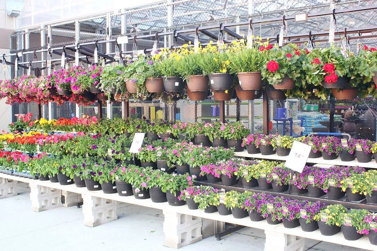 Business 9 image LOWE'S HOME IMPROVEMENT - CLOSED