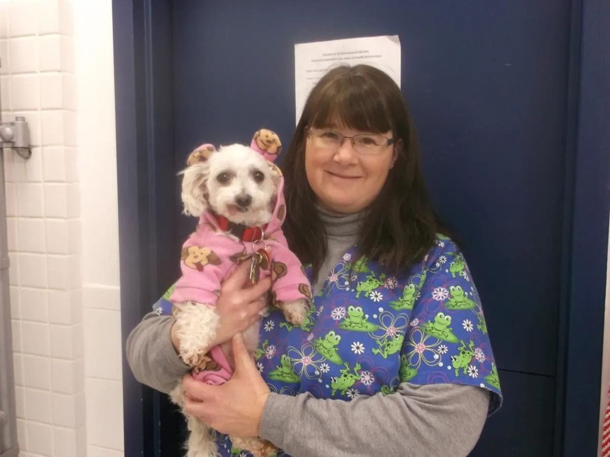 Entreprises 3 image GUILDWOOD VILLAGE ANIMAL CLINIC