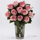 Entreprises 6 image FOSTER'S FRAMED GREETINGS & GIFTS