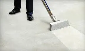 Business 4 image OPTIONS PLUS CARPET & UPHOLSTERY CLEANING