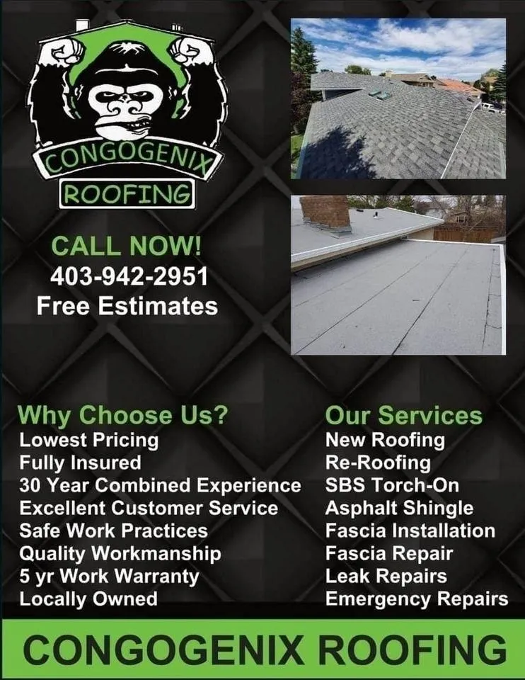 Business 8 image CONGOGENIX ROOFING