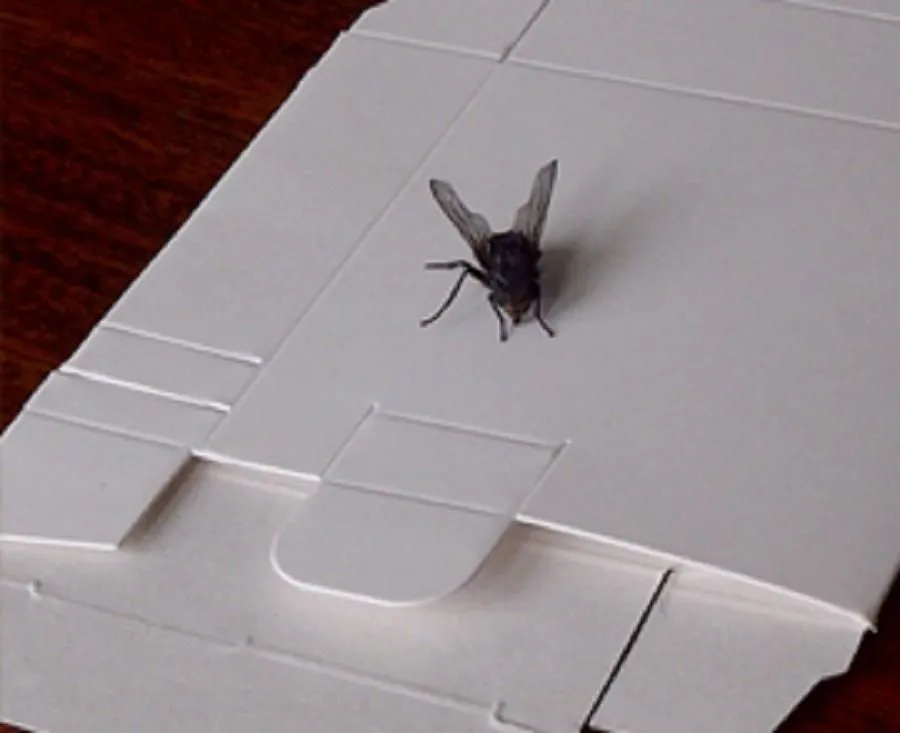 Entreprises 5 image PRESTONS PRINTERS