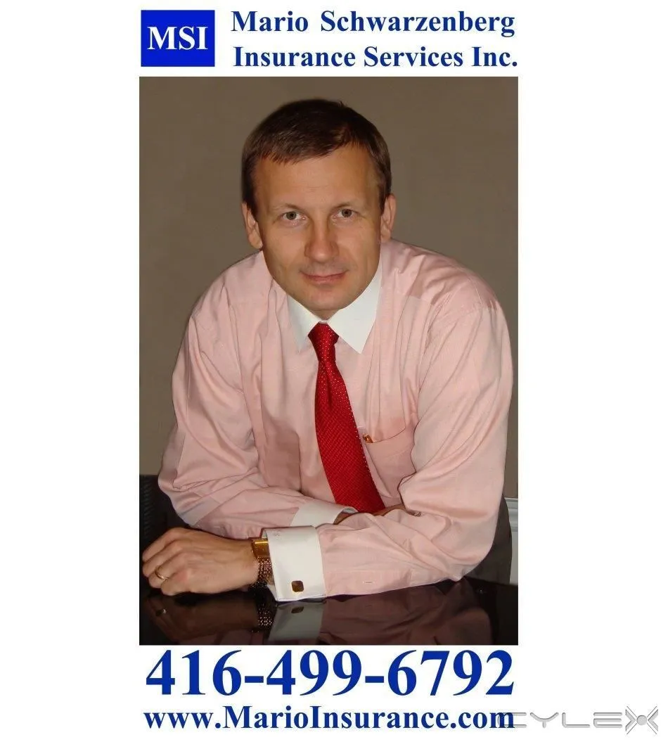 Business 2 image MSI - MARIO SCHWARZENBERG INSURANCE SERVICES INC.