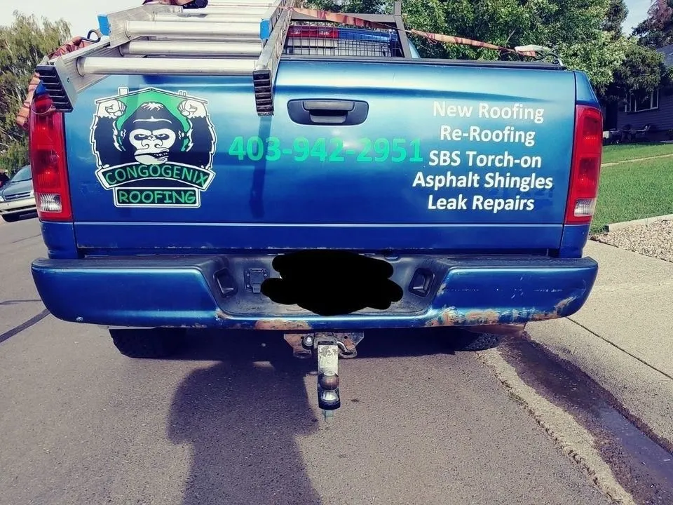 Business 4 image CONGOGENIX ROOFING