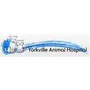 YORKVILLE ANIMAL HOSPITAL Veterinarians dans Toronto ON