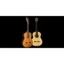 SCOTT DAVID GUITAR INSTRUCTOR Music Schools in Aurora ON