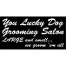 YOU LUCKY DOG GROOMING SALON Pet Grooming Services dans Mississauga ON