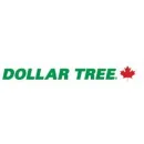 DOLLAR TREE Shopping in Vancouver BC